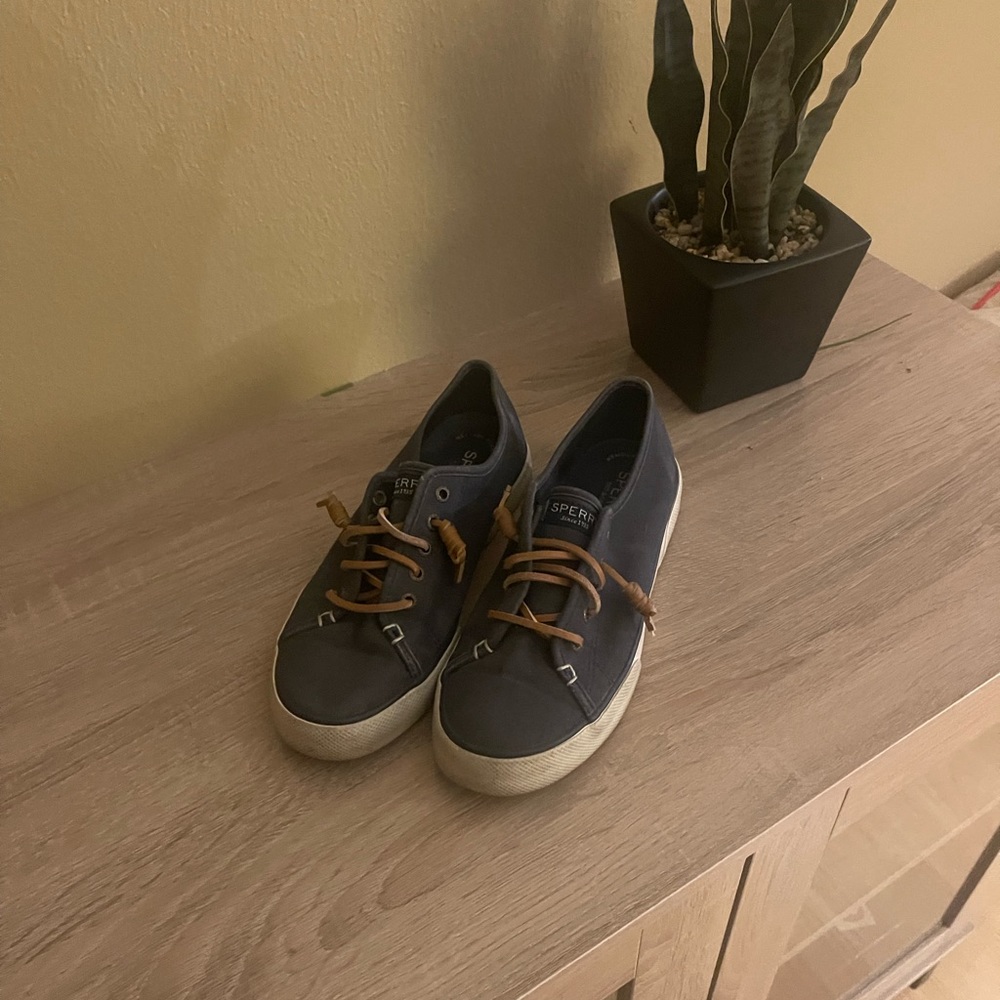 Sperry navy shoes